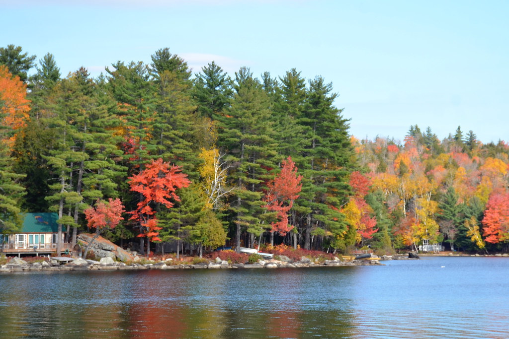 Maine autumn